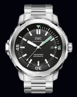 IWC (IW329002)