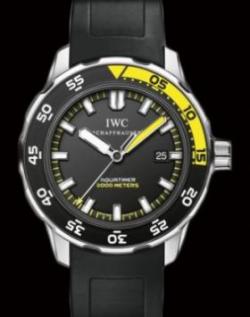 IWC (IW356810)