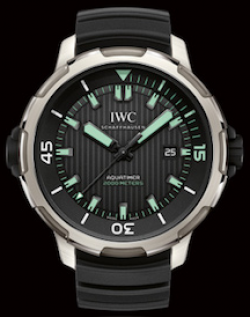 IWC (IW358002)