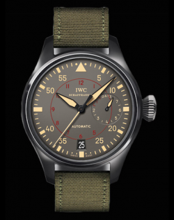 IWC (IW501902)
