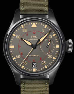 IWC (IW501902)