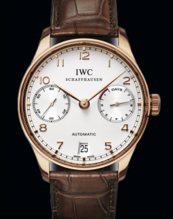 IWC (IW500113)